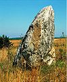 Hinkelstein bei Thomm/Waldrach