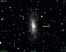 NGC 3137 DSS.jpg