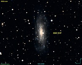 NGC 3137