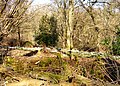 Image 7 Credit: C Hoyle Brockhill Country Park is dominated by a large grassy valley, bisected by the Brockhill Stream as it makes its way to the Royal Military Canal at Hythe. More about Brockhill Country Park... (from Portal:Kent/Selected pictures)