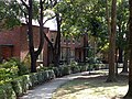 View of shared green space in front of some homes