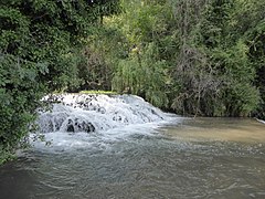 Parque Natural del Monasterio de Piedra 18.jpg