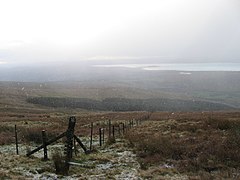 Slopes of Balcnock towards Loch Lomond - geograph.org.uk - 291852.jpg