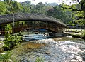 Résurgence du Rio Tioyacu (Rioja, San Martin, Pérou).