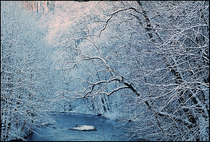 File:Wuppertal-Sonnborn. The first snow of 2012. The river (8267078819).jpg