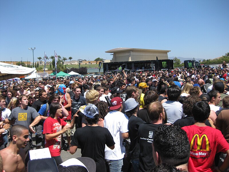 File:Warped Tour moshing 2010-08-10 01.jpg