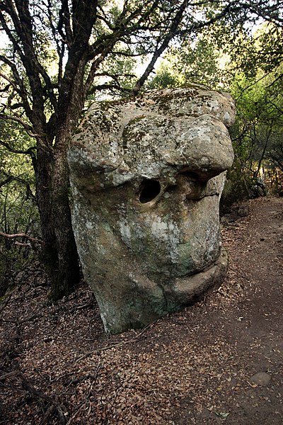 File:Natural monument - panoramio.jpg