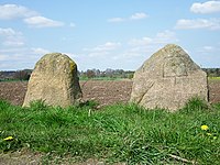 Naturdenkmal ND WL 00021 (li) und ND WL 00020, nordwestlich von Klein-Leversen; seit dem 10. Juni 1955 Naturdenkmal