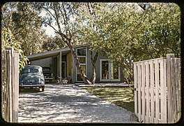 Anita Street. Beaumaris. Melb. Lindsay Bunnett. 1954.jpg