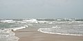 Confusing wave patterns at the beach at Cape Lookout point. Waves are coming from several directions.