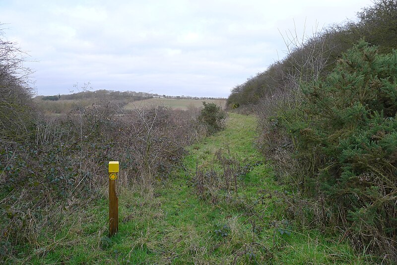 File:Footpath below Stubbock Hill - geograph.org.uk - 6019917.jpg