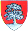 Coat of arms of Județul Lăpușna