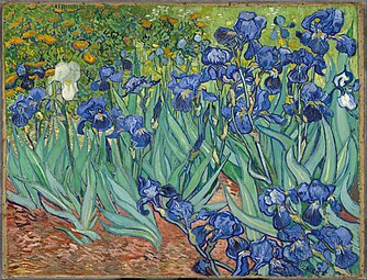 Vincent van Gogh, Iris, 1889