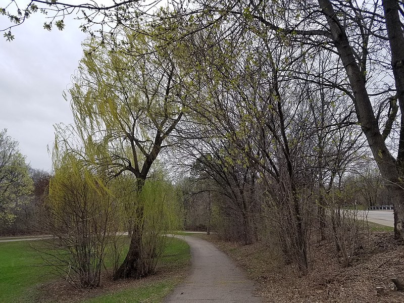 File:Minnehaha Parkway Regional Trail - 52082749195.jpg