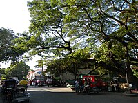 Downtown Calatagan