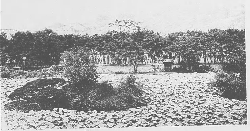 File:Gyeongbokgung Rotus Pond 1906 2.png