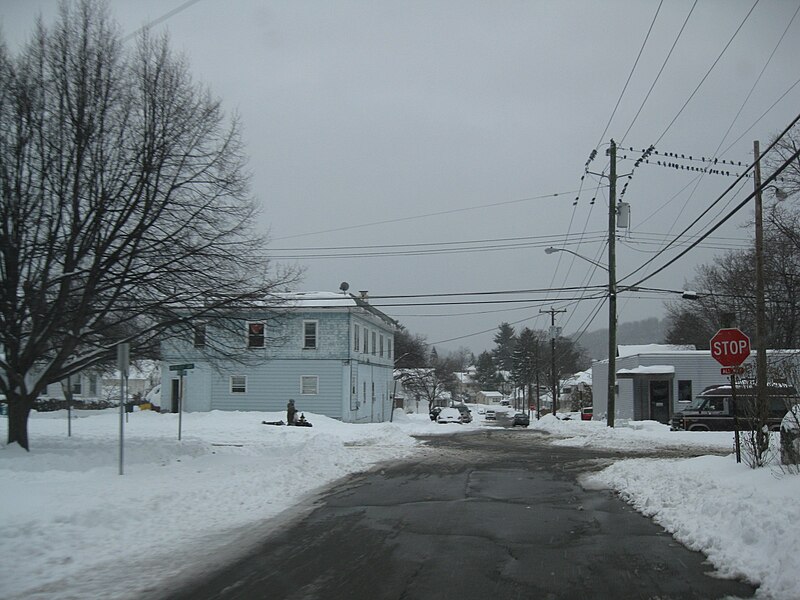 File:Johnson City, New York - 4475440955.jpg