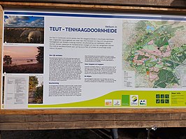 Tenhaagdoornheide