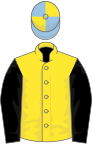 Yellow, black sleeves, light blue and yellow quartered cap