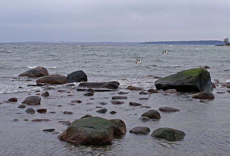 File:By the coast in March - 2 (2374679832).jpg