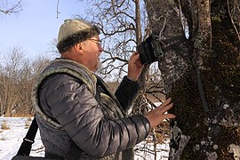 Профессор Кудактин осматривает фотоловушку.JPG