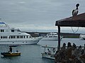 Many Boats in Puerto Ayora on the Island of Santa Cruz Galapagos