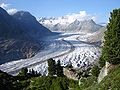 Image 26The Aletsch Glacier with pine trees growing on the hillside (2007; the surface is 180 m (590 ft) lower than 150 years ago) (from Alps)