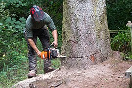 Entaille plancher cran de chute.jpg