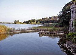 Lake Massaciuccoli and swamps at Torre del Lago Puccini, Tuscany, Italy.jpg