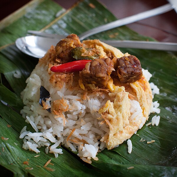 File:Nasi uduk netherlands.jpg