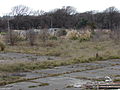 Addington Saleyards 02.JPG