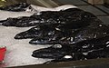 Black scabbardfish at Funchal market, Madeira