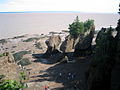 Visitors during Low Tide