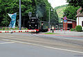 Ein Lößnitzdackel kreuzt die Straßenbahngleise am Weißen Roß