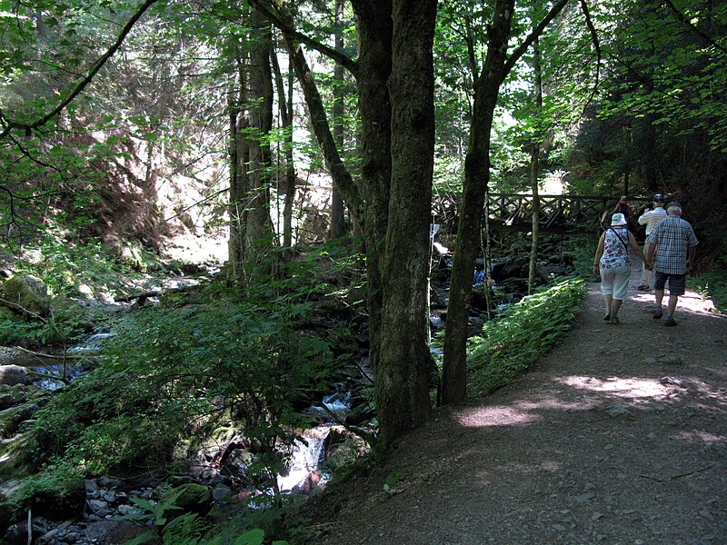 File:Ravennaschlucht, Steg.jpg