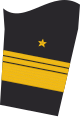 Ärmelabzeichen Dienstanzug Marineuniformträger (Truppendienst)