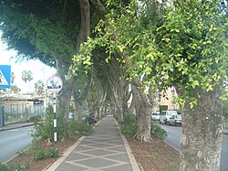 Straße in Kiryat Ata