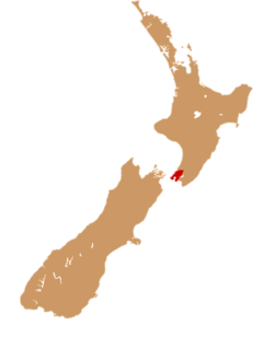 Wellington urban area within New Zealand