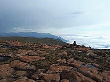 Mafadi mountain top.jpg