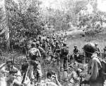 Marines américains durant la bataille de Guadalcanal, en novembre 1942.