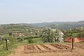 Balinović - panorama