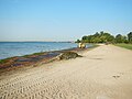 Shoreline muck in Lake St. Clair