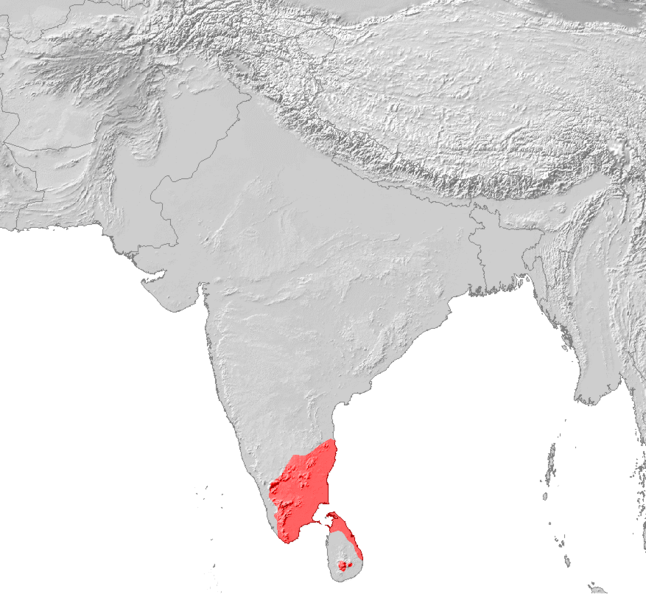 File:Tamil Verbreitung.png