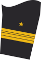 Ärmelabzeichen Dienstanzug Marineuniformträger (Truppendienst)