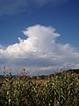 Cumulonimbus incus pozorovaný blízko Lučenca