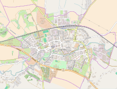 Mapa konturowa Chojnowa, w centrum znajduje się punkt z opisem „Kościół Świętych Apostołów Piotra i Pawła w Chojnowie”