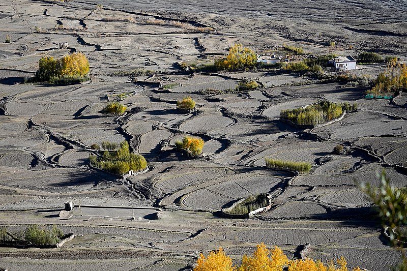 File:Fields Karsha Village Zanskar Oct22 A7C 04008.jpg