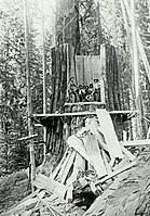 Jesse Pattee, a renowned logger, is the first man on the left.