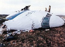 Part of the aircraft nose lying on its side on grassy land