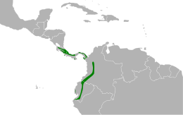 Silver-throated tanager range